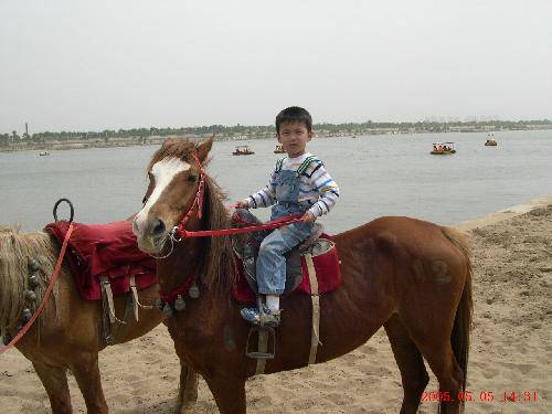 我的天空阳光灿烂作文