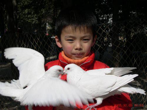 我的天空阳光灿烂作文