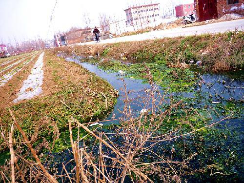 踏青、探春作文