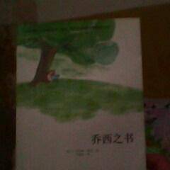 有爱,就有永恒——《乔西之书》读后感作文