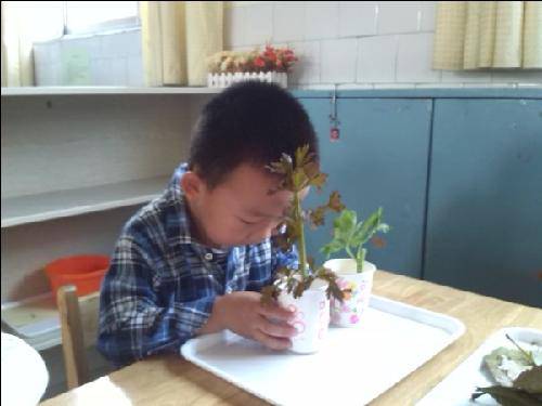 有趣的晨间活动作文