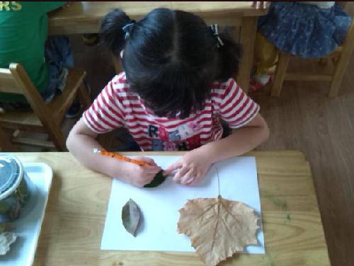 有趣的晨间活动作文