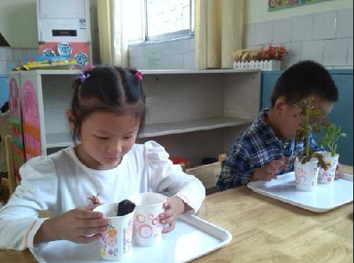 有趣的晨间活动作文