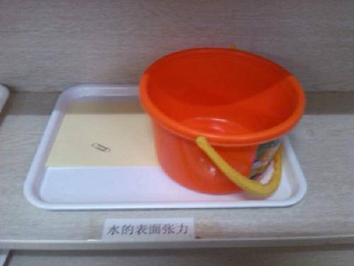 有趣的晨间活动作文