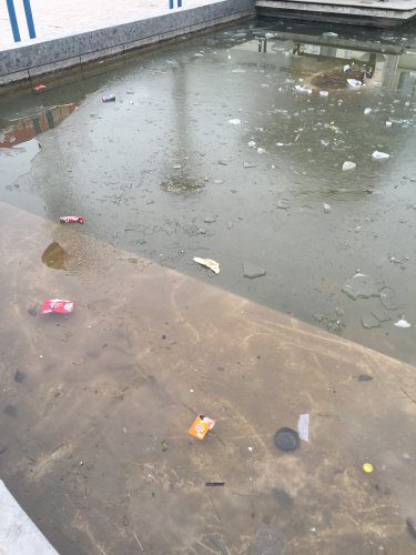 С鱨桪廪ԷѧС