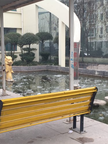 С鱨桪廪ԷѧС