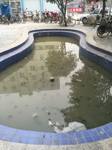С鱨桪廪ԷѧС