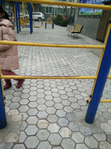 С鱨桪廪ԷѧС