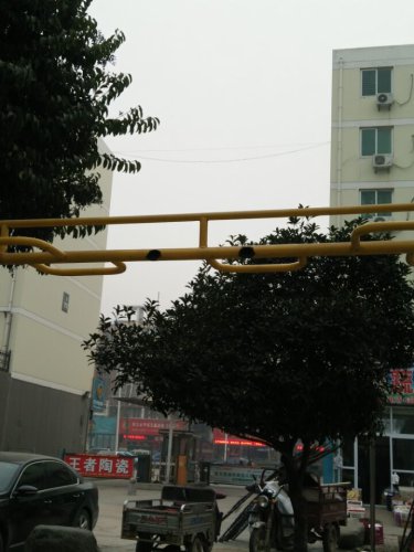 С鱨桪廪ԷѧС