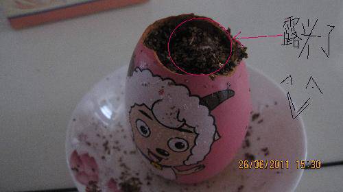 培育“梦想成真”种子(观察日记)作文