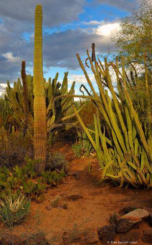 新变化和老毛病——女儿的暑假总结(2)作文