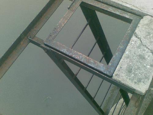 鼓励妞妞去“探险”作文