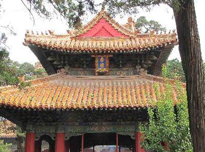 我的暑假发现之旅(6)--走进儒家文化(1)作文