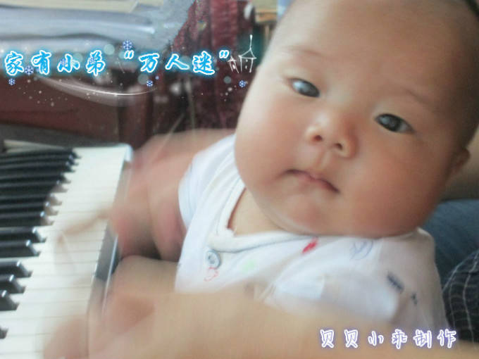 家有小弟“万人迷”作文