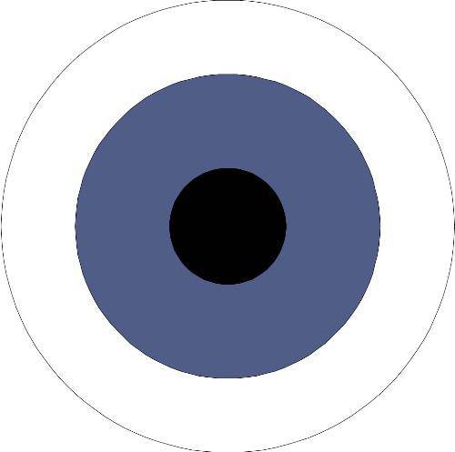 外公的眼神作文