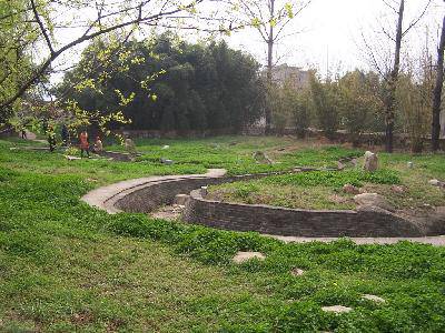 ջԴƬ