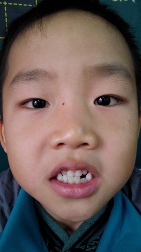 一年级下学期家长会发言稿作文