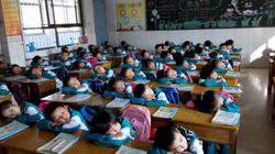 一年级下学期家长会发言稿作文