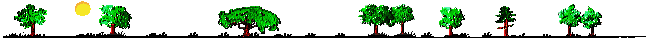 򼦵ǰ