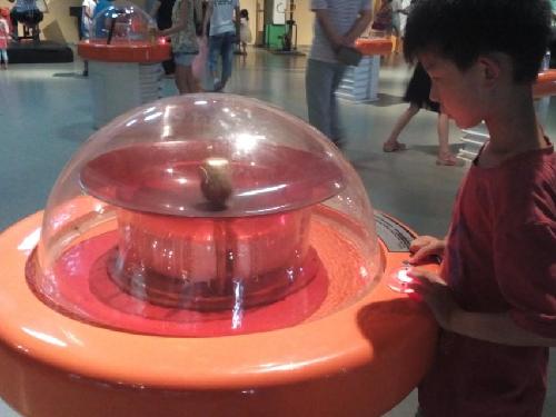 “自驾”一日游之焦作科技馆作文