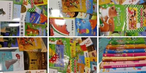 钱小兜新学期成长档案(开学第二周)作文