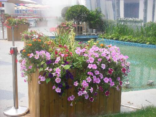 精彩世博游作文