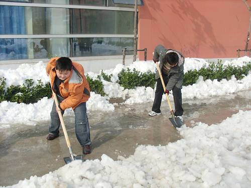 雪天带来了什么【附照片】作文