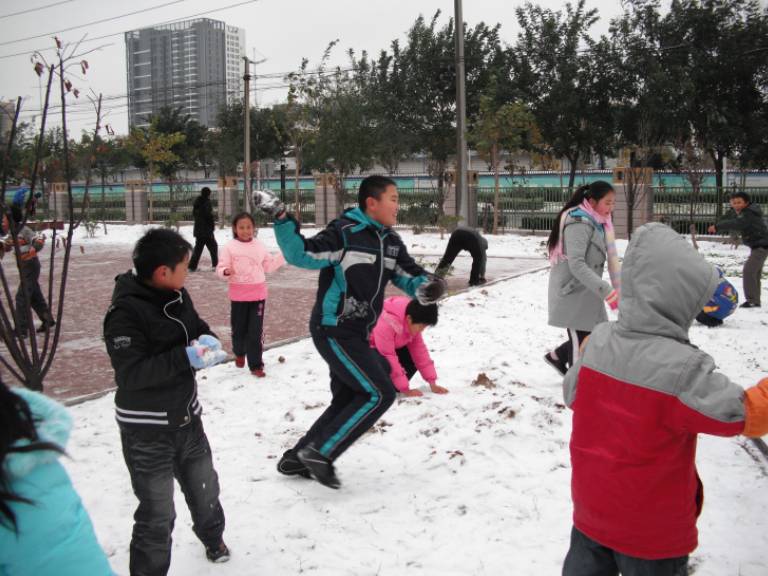 雪天带来了什么【附照片】作文
