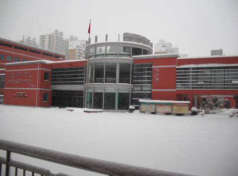 雪天带来了什么【附照片】作文