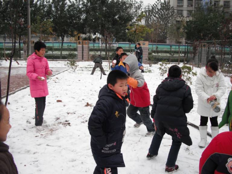 雪天带来了什么【附照片】作文