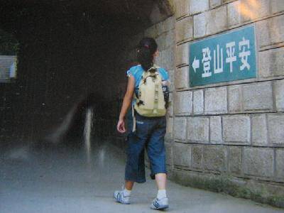 行万里路之(一)——无限风光在险峰作文