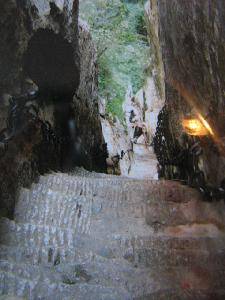 行万里路之(一)——无限风光在险峰作文