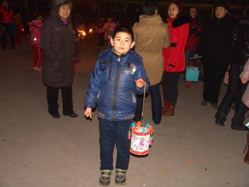 美丽的灯,美丽的会!作文