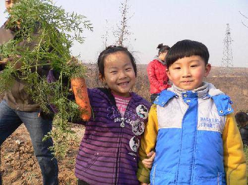 深秋初冬季节 设计几款亲子活动作文