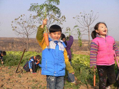 深秋初冬季节 设计几款亲子活动作文