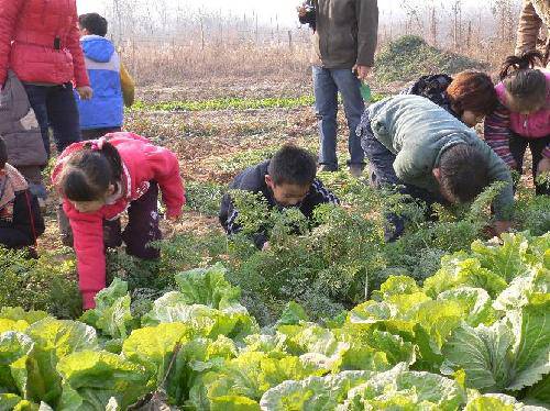 深秋初冬季节 设计几款亲子活动作文