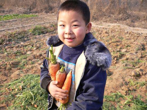 深秋初冬季节 设计几款亲子活动作文