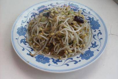 绿豆芽生长记作文