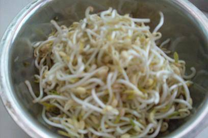 绿豆芽生长记作文