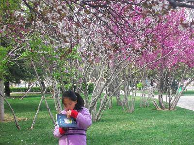 摄影日记2:感受春天作文