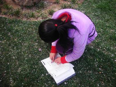 摄影日记2:感受春天作文