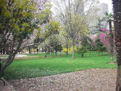 摄影日记2:感受春天作文