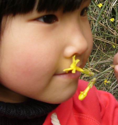 触摸春天(附多图)作文