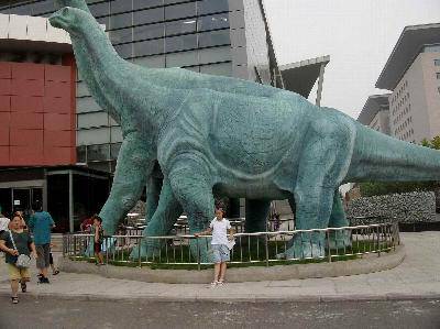 参观河南省地质博物馆作文