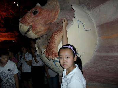 参观河南省地质博物馆作文