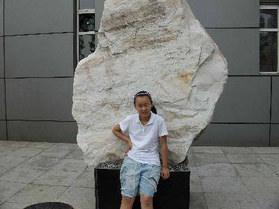 参观河南省地质博物馆作文