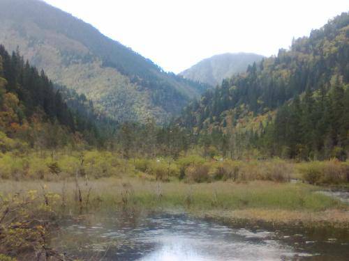 人间仙境九寨沟作文