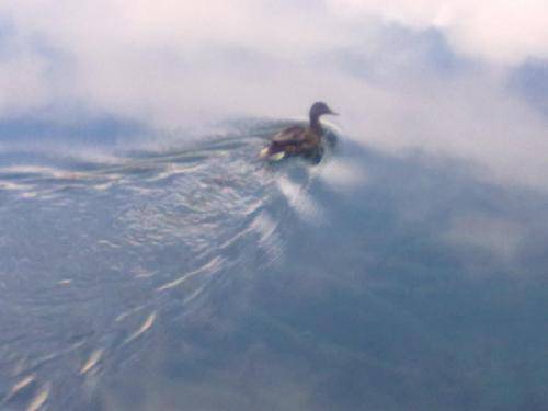 人间仙境九寨沟作文