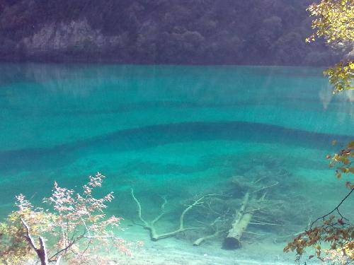 人间仙境九寨沟作文