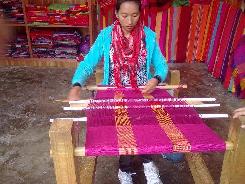 人间仙境九寨沟作文